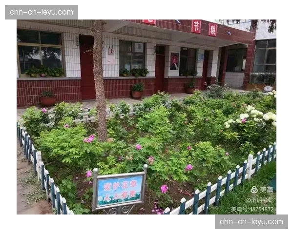 NBA关怀行动组织“绿色球场”项目,在非洲建设第十座社区篮球场。 NBA关怀行动组织“绿色球场”项目,在非洲建设第十座社区篮球场。